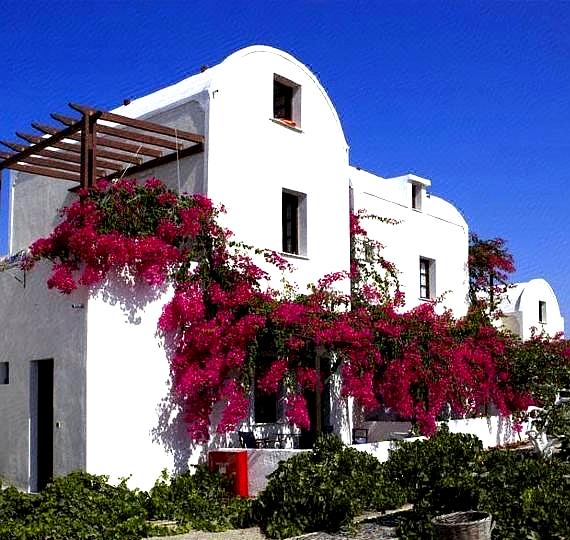 Anna Traditional Apartments
